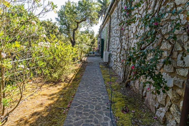 Villa Rosa Naregno Capoliveri  Zewnętrze zdjęcie